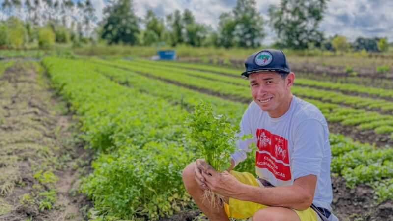 Horta Agroecológica no assentamento Lulão é referência na produção de hortaliças, na Bahia