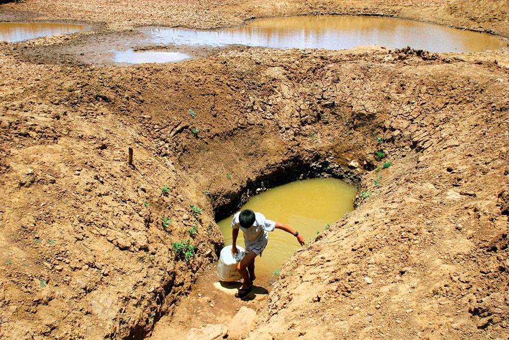 Dia Mundial de Combate à Desertificação: Alternativas para o Semiárido Brasileiro