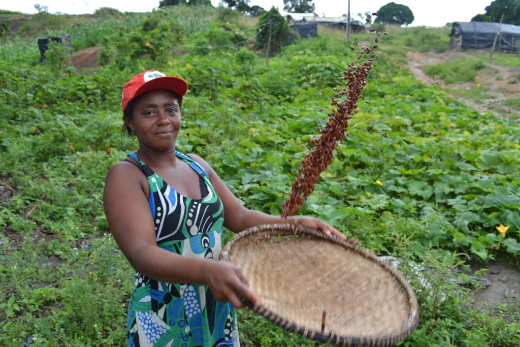 DIA DA AGRICULTURA FAMILIAR – 25 de julho