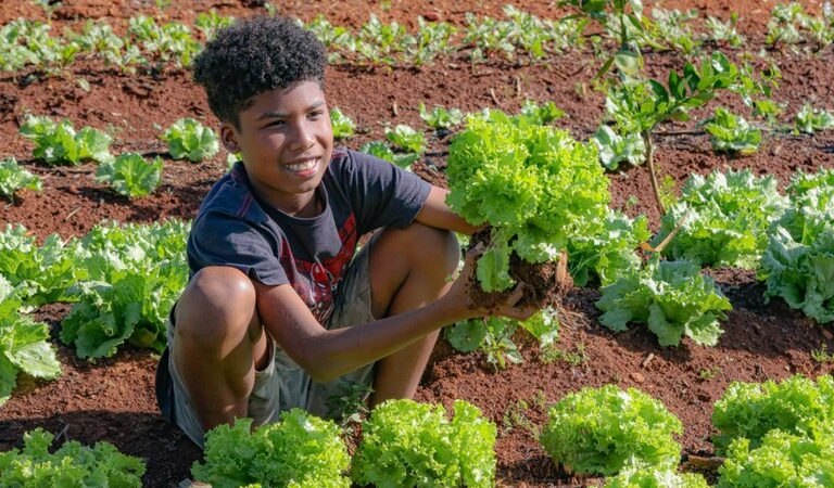 Agricultora familiar do DF afirma que pagamento certo e direto na conta dá segurança para quem vende pelo PAA