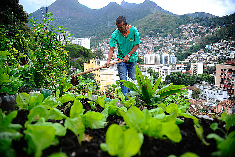 Senado aprova política para produção agrícola nas cidades