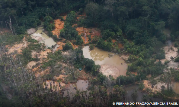 Edital prorroga inscrições para restauração em terras indígenas