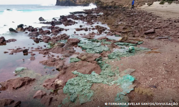Rochas de plástico chegam a ninhos de tartarugas em ilha brasileira