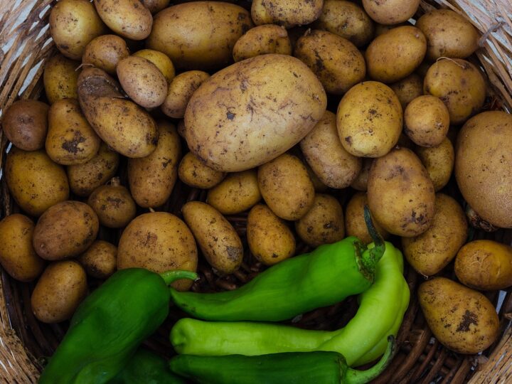 Incra inclui 1,6 mil famílias do MA em Programa da Reforma Agrária