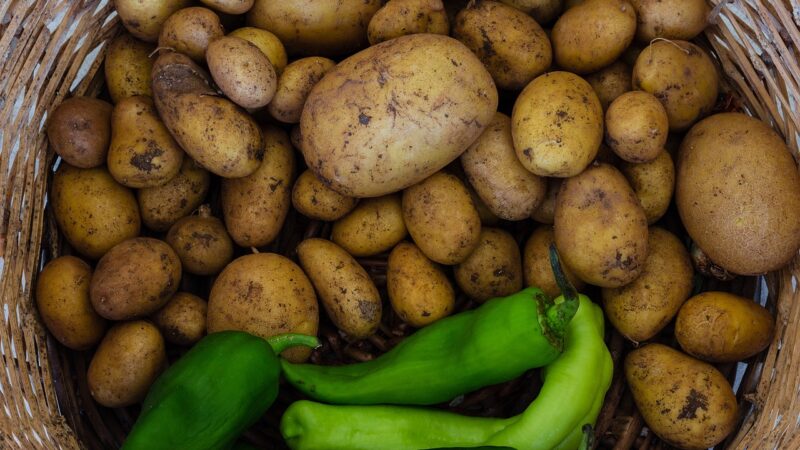 Incra inclui 1,6 mil famílias do MA em Programa da Reforma Agrária